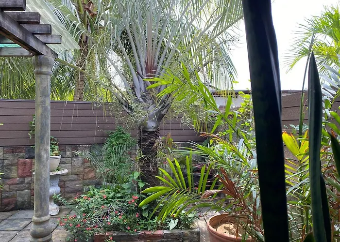 Effie Mountain View Gecko Apartment